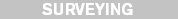 Surveys